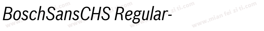 BoschSansCHS Regular字体转换